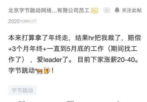 头条赔偿员工,揭秘互联网巨头的人事危机与员工权益保障”