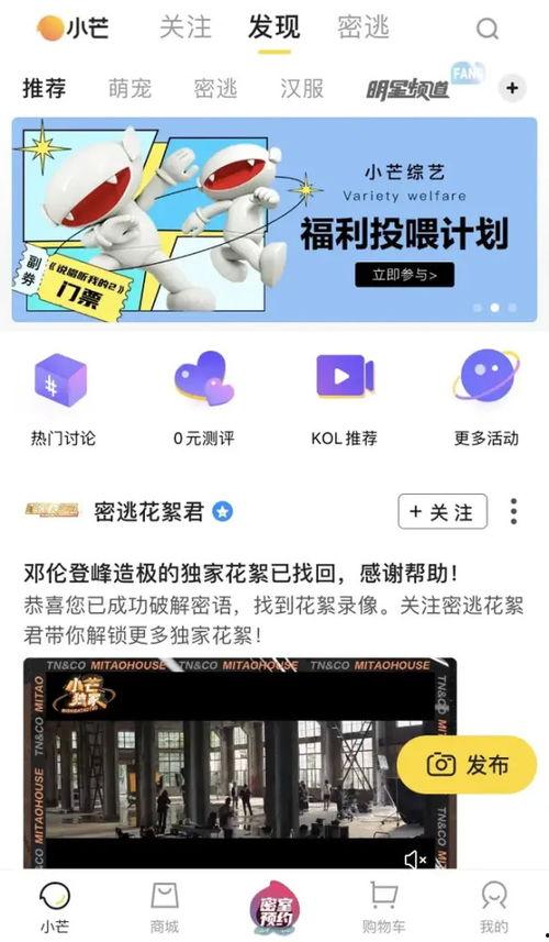 头条怎样做粉丝社群平台,构建互动生态圈的关键策略