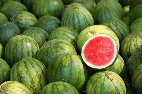 勺子吃瓜圆的,探寻传统美食的独特魅力