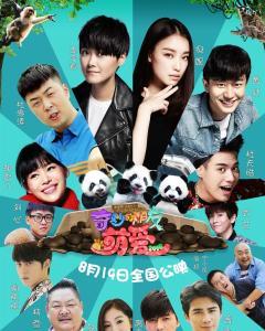 奇妙的朋友在线观看,在线观看奇妙的朋友精彩回顾