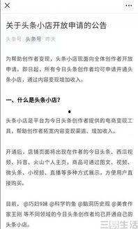 头条小店运营要什么条件,解锁成功之门，必备条件全解析