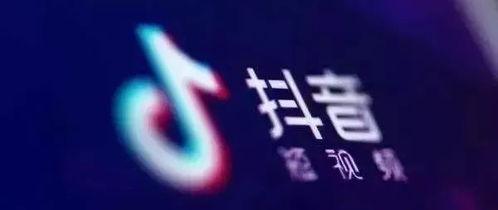 抖音系头条系,引领短视频与资讯新潮流