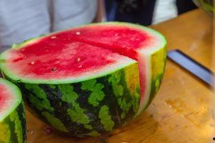 贵阳大学城吃瓜,瓜田李下，美食探秘之旅