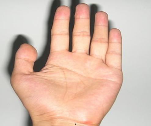 明星那个是断掌,揭秘明星背后的神秘掌纹之谜