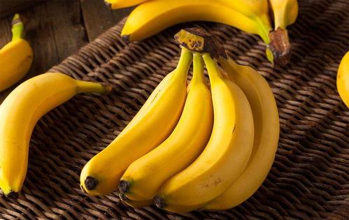 香蕉吃瓜视频大全,趣味横生的欢乐时光回顾