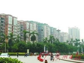 头条违建,坚决拆除违规建筑，还城市整洁面貌