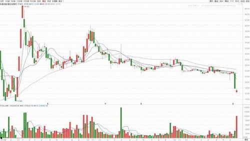 中加明星股,投资新宠，共舞财富盛宴