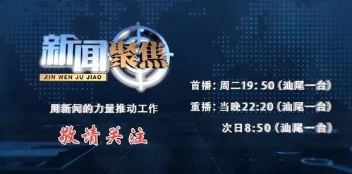 汕尾市最新新闻爆料信息,重大事件引发社会关注