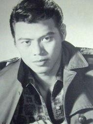 明星乐慧,闪耀星途，音乐梦想的璀璨星辰