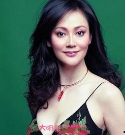 电视明星宋佳,璀璨星途，魅力绽放