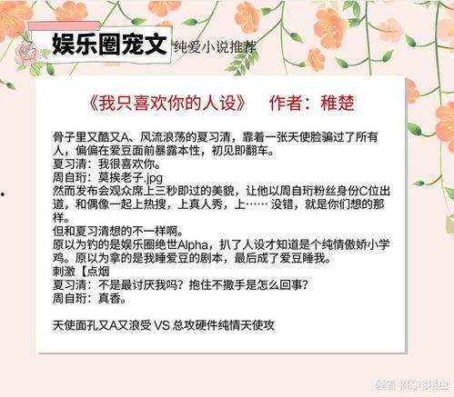 最新娱乐圈爆料小说,揭秘明星背后的秘密与爱恨情仇